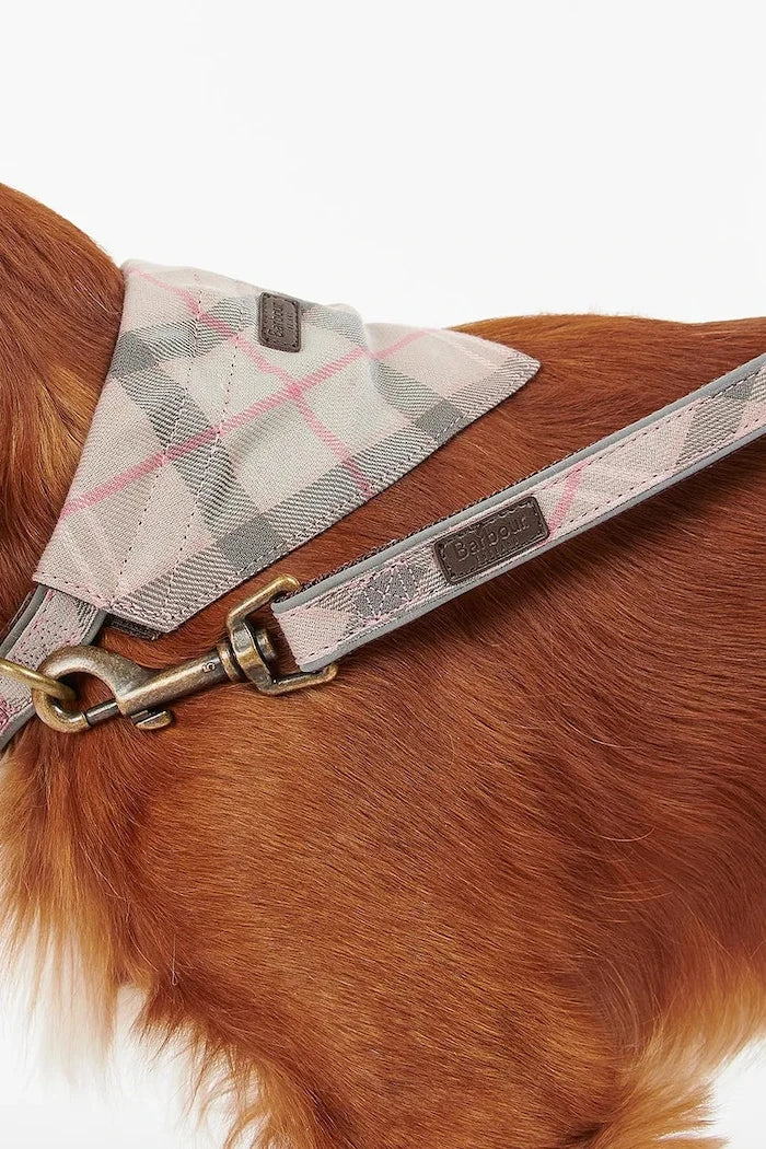 Correa para Perro Reflectante Barbour Tartan 100 cm