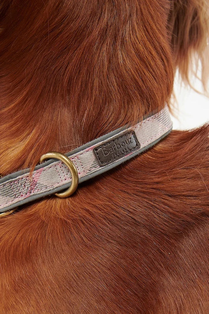 Correa para perros Barbour