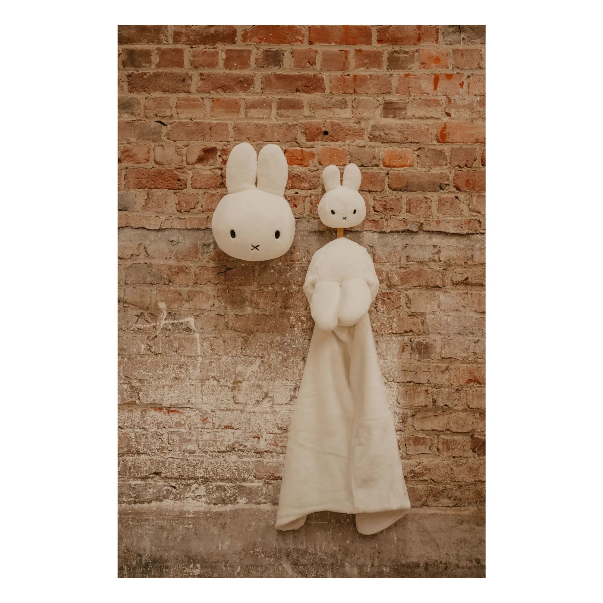 Wild & Soft - Trofeo Miffy | Blanco