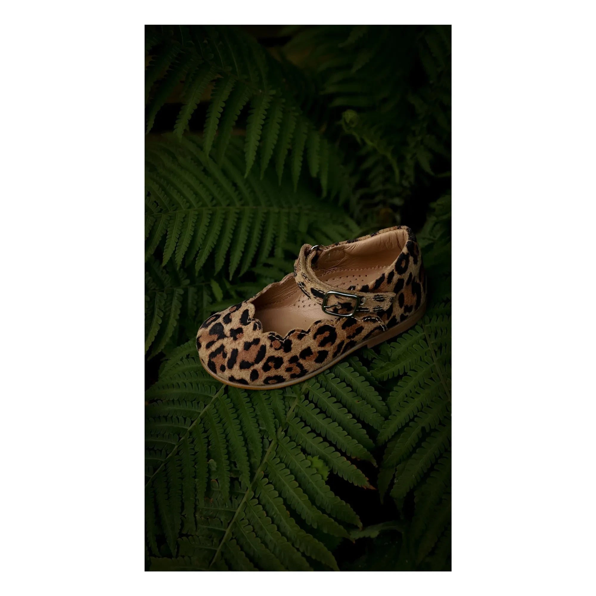 Petit Nord - Merceditas con forma de concha y estampado de leopardo | Marrón