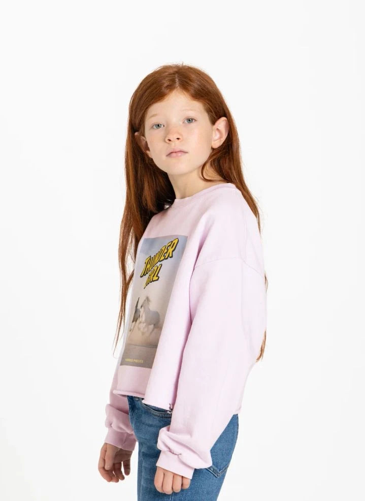 Hundred Pieces - Belmont Horses Sudadera de Algodón Orgánico | Rosa Claro