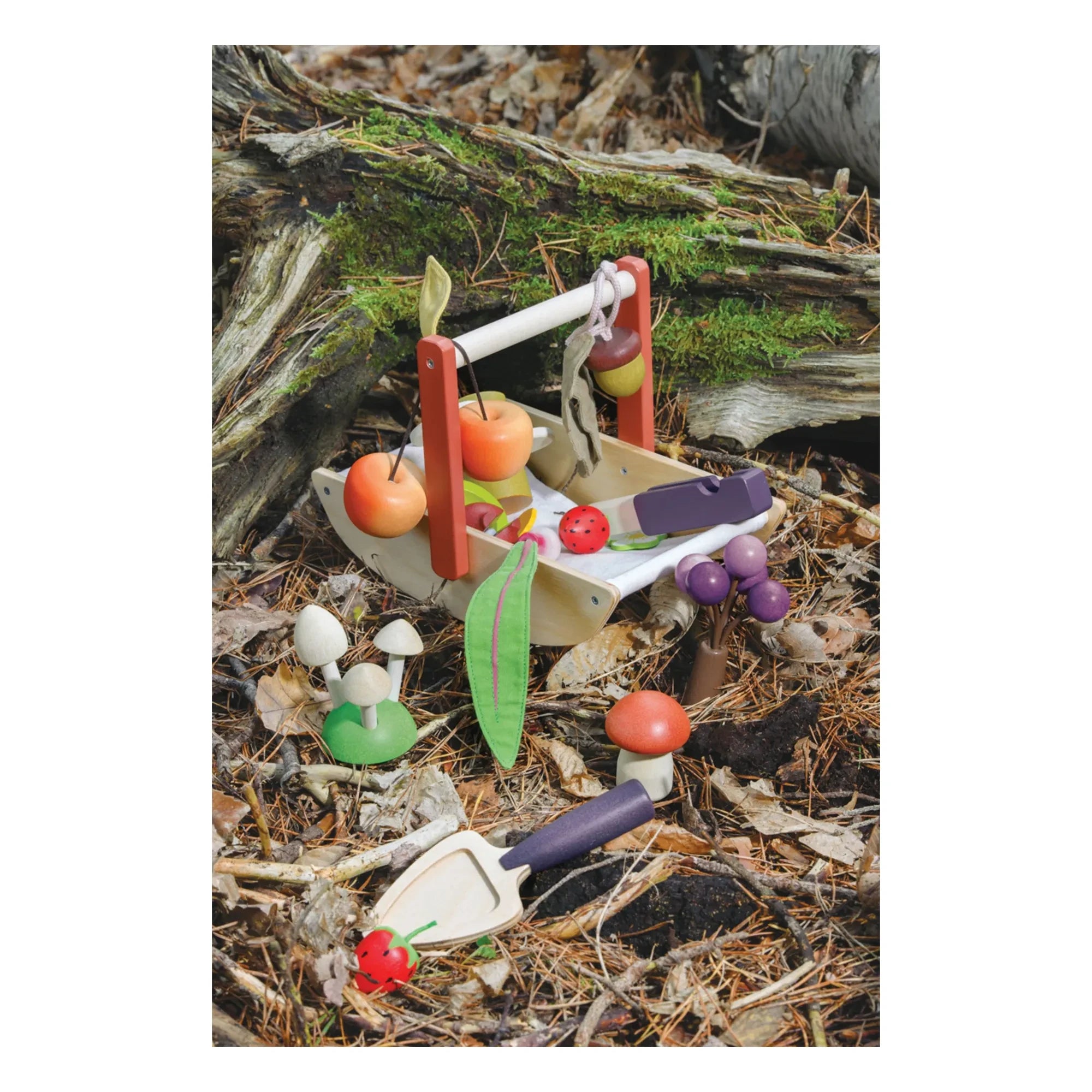 Tender Leaf Toys - Cesta de la Cosecha Salvaje