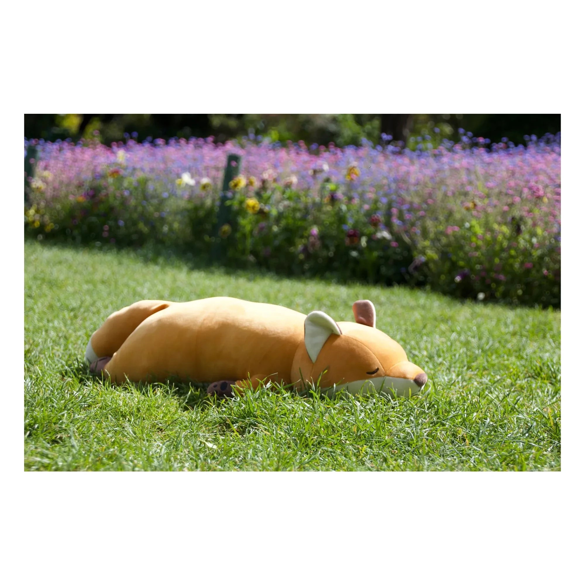 Nemu Nemu - Zorro Konta, peluche | Naranja
