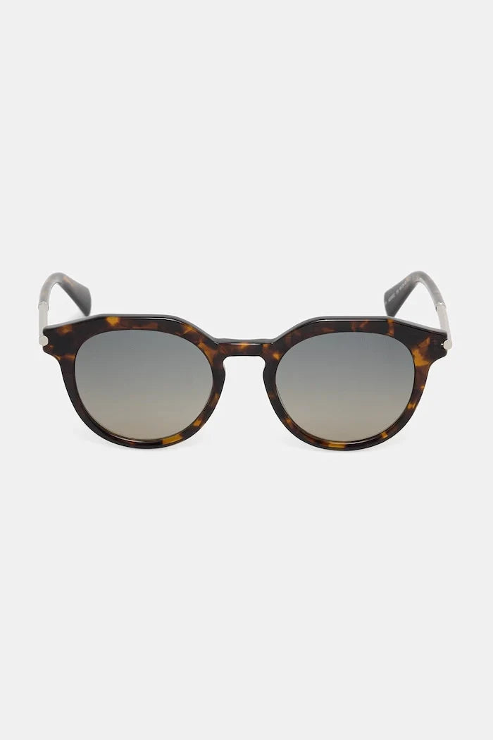 AllSaints Gafas de Sol para Mujer Van