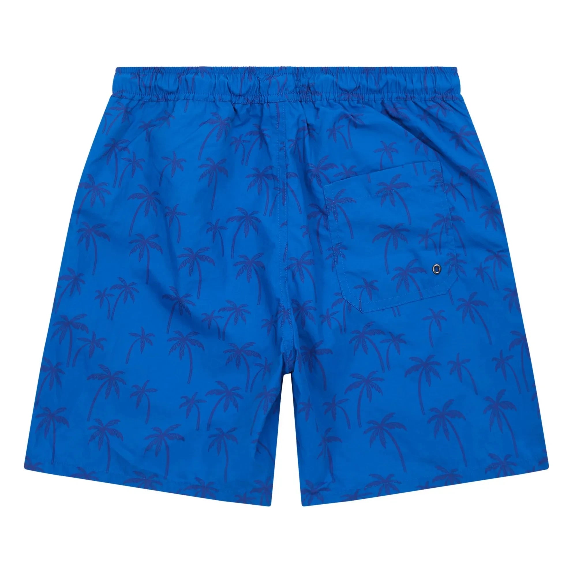 Hundred Pieces - Bañador Wave Mayo | Azul Eléctrico