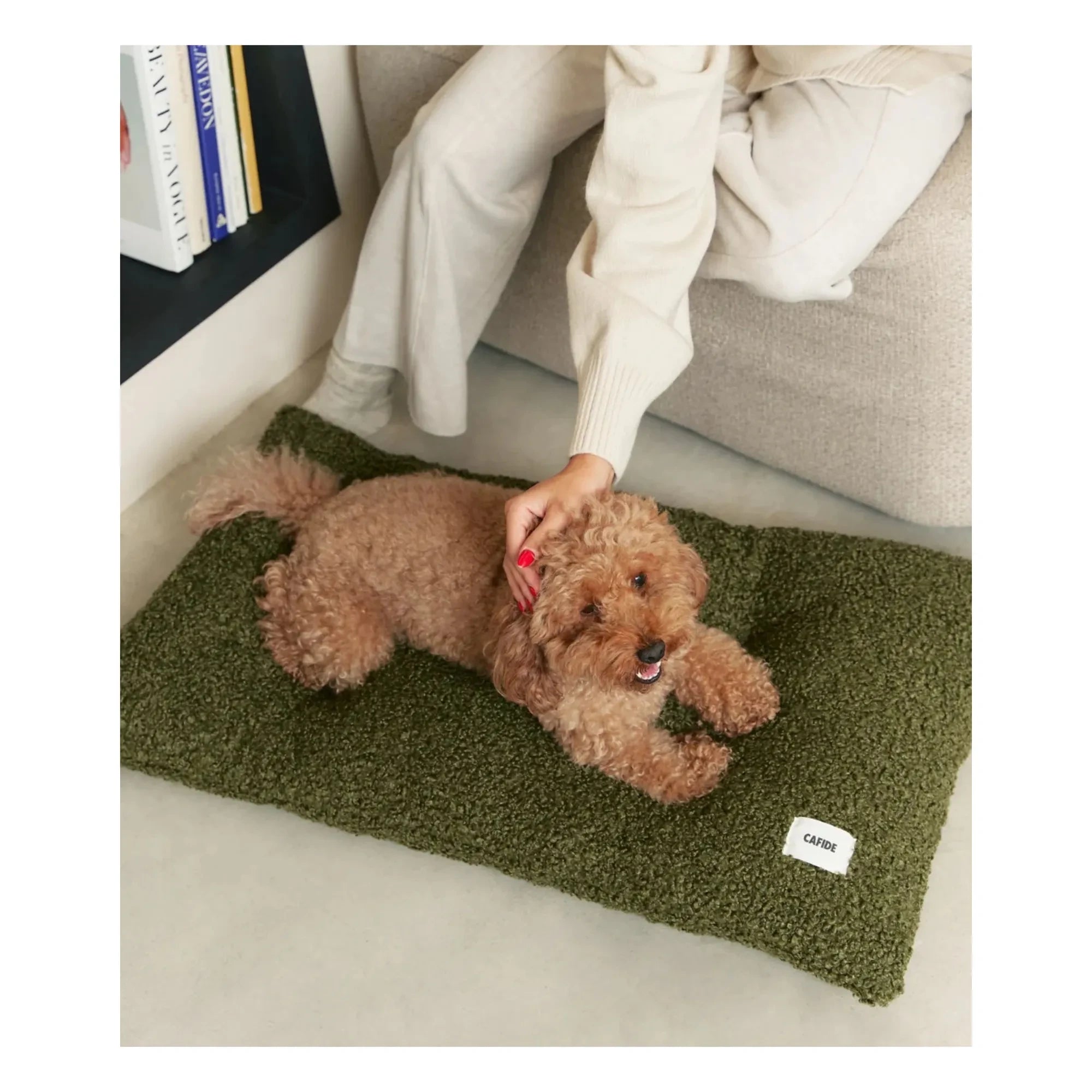 Cafide - Cama para perro Bela | Verde