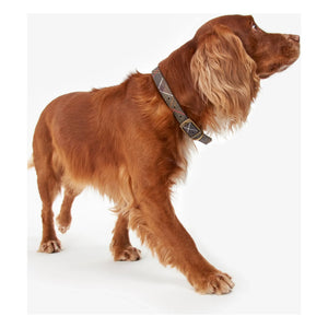 Barbour - Collar para perro de tartán | Beige oscuro y marrón