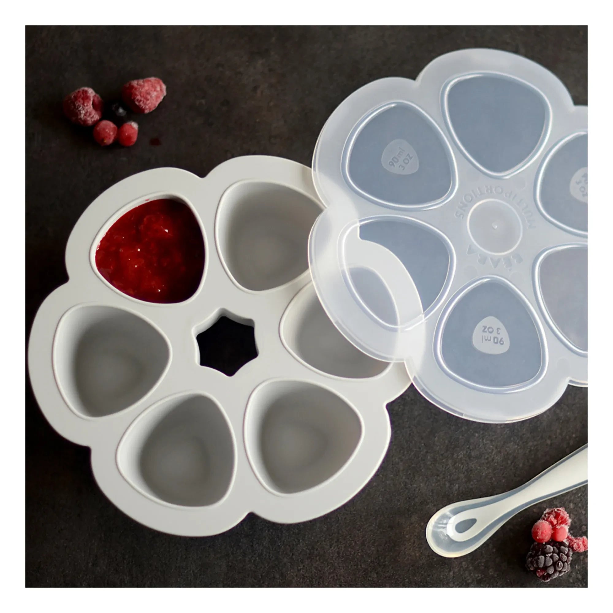 Béaba - Molde de Silicona para Comida de Bebé - 6 x 90 ml | Gris Claro