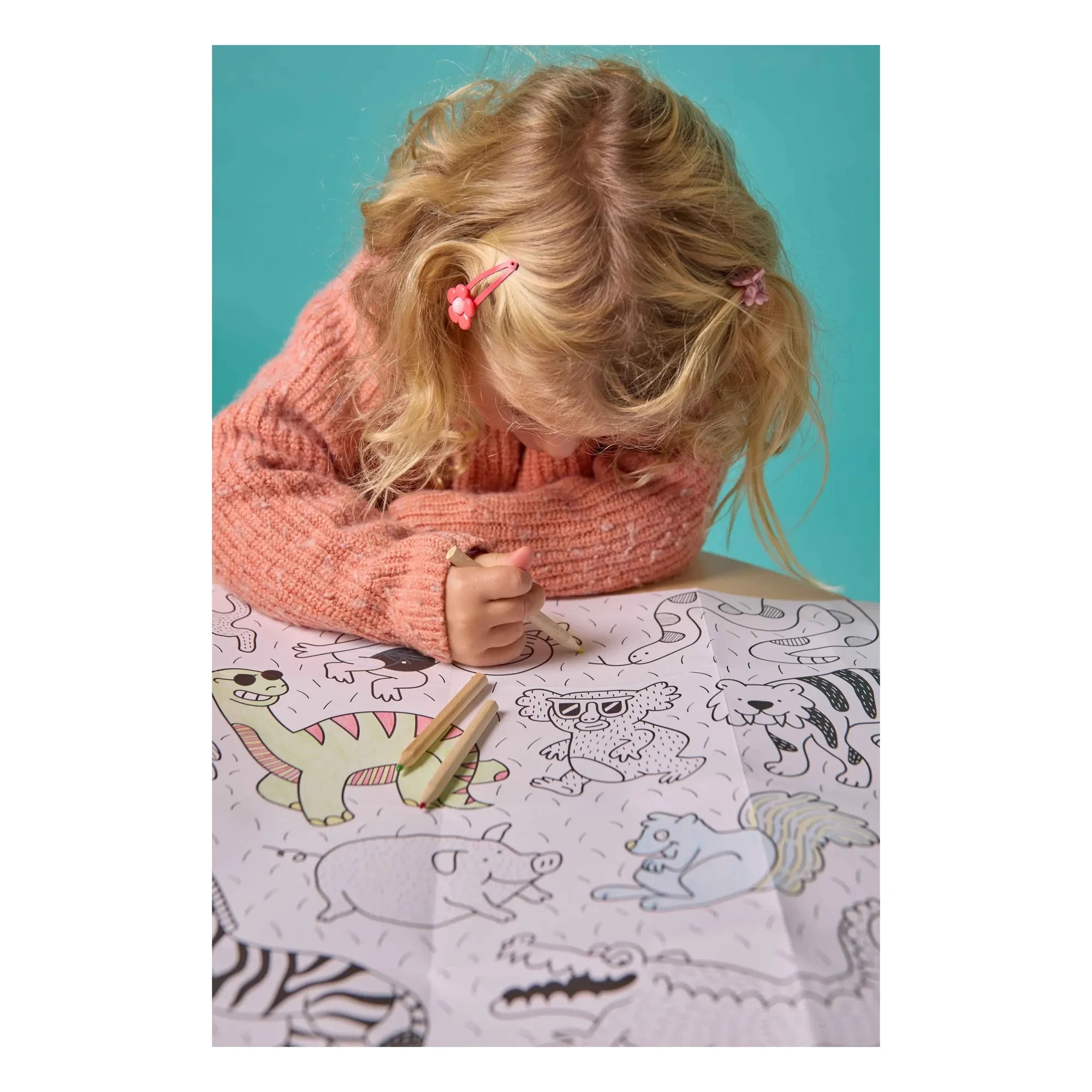 Omy - Mini set de colorear animales