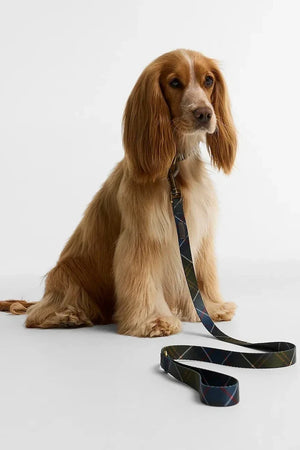 Correa de Perro Barbour