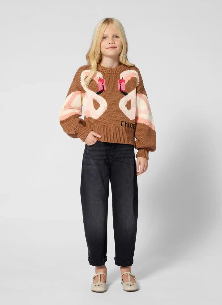 Chloé - Flamants Roses Jersey de algodón orgánico | Caramelo