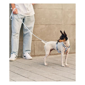 Cafide - Arnés para perros Juno | Azul claro