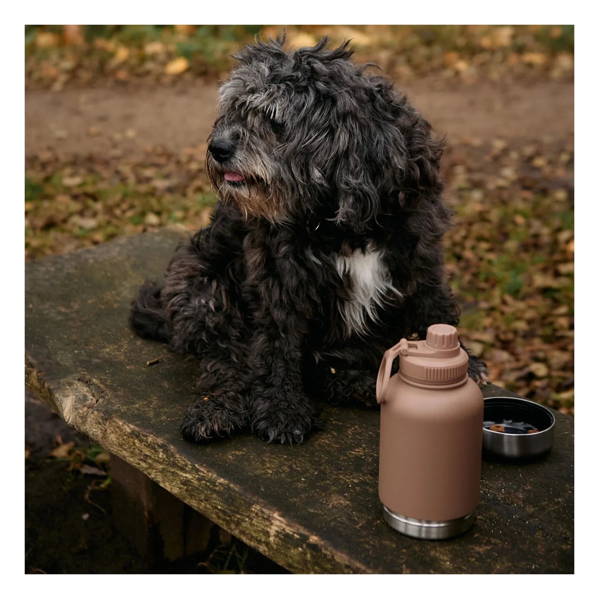 Haps Nordic - Haps Go botella para perros - 900 ml | Marrón