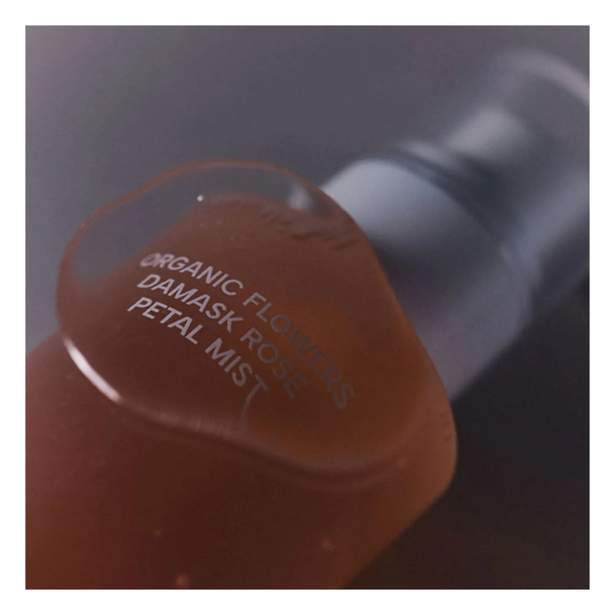 WHAMISA - Tónico facial de rosa de Damasco - 100ml