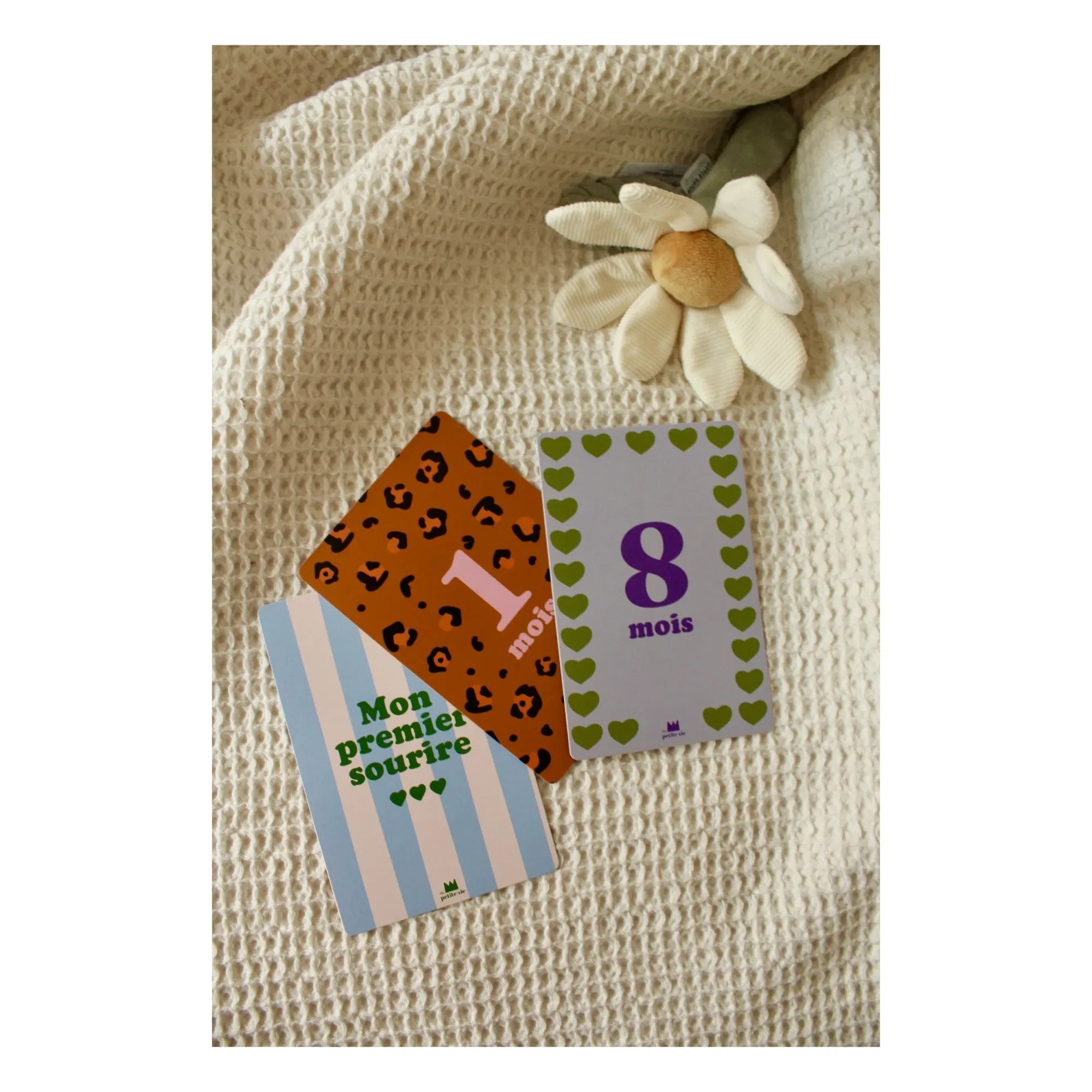 Ma petite vie - Tarjetas de hitos de los primeros 12 meses