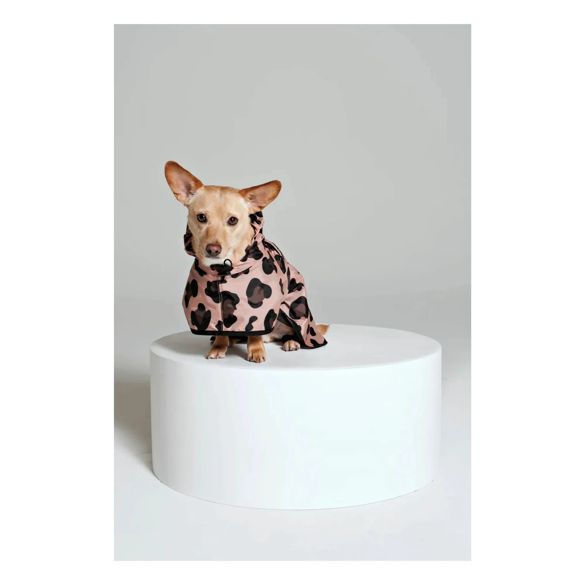Rainkiss - Chubasquero impermeable para perro de Pantera Rosa | Rosa