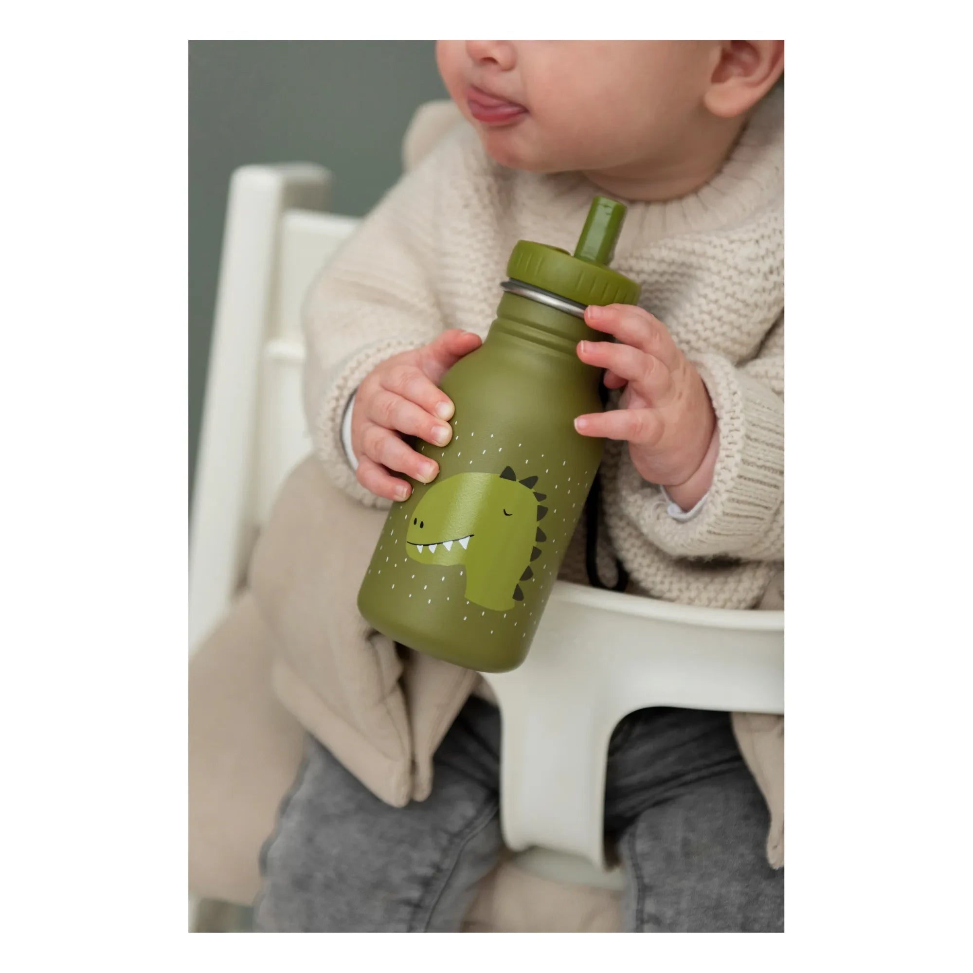Trixie - Botella de Agua Mr Dino 350ml | Caqui
