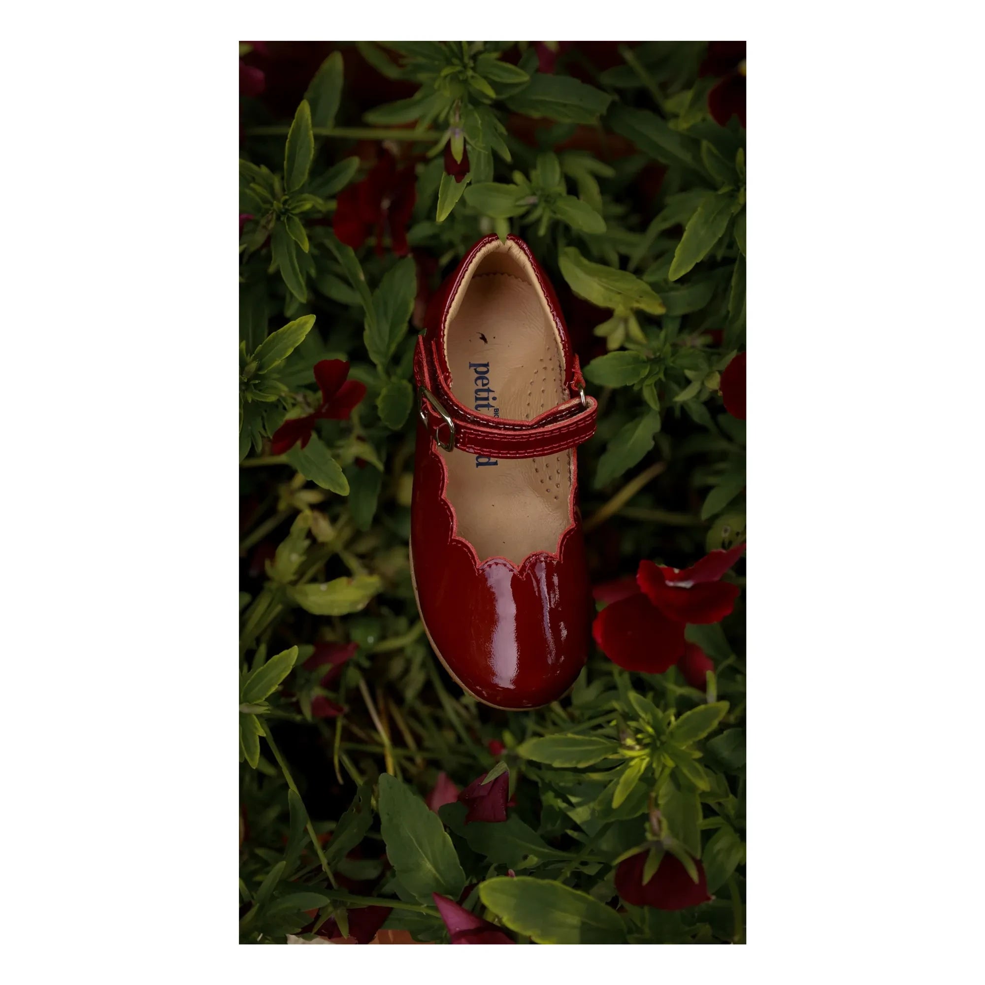 Petit Nord - Rojo canela | Bailarina Mary Jane de vieira