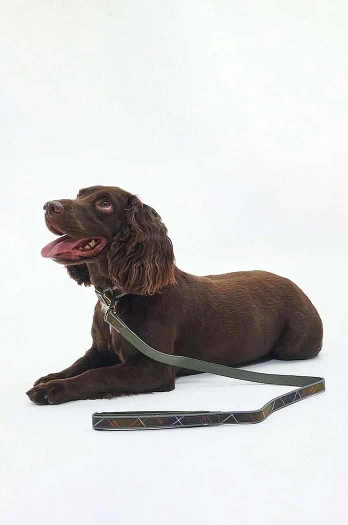 Collar Barbour para Perro
