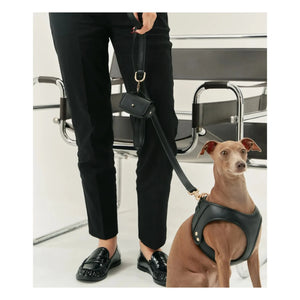 Cafide - Collar de perro de piel vegana | Negro