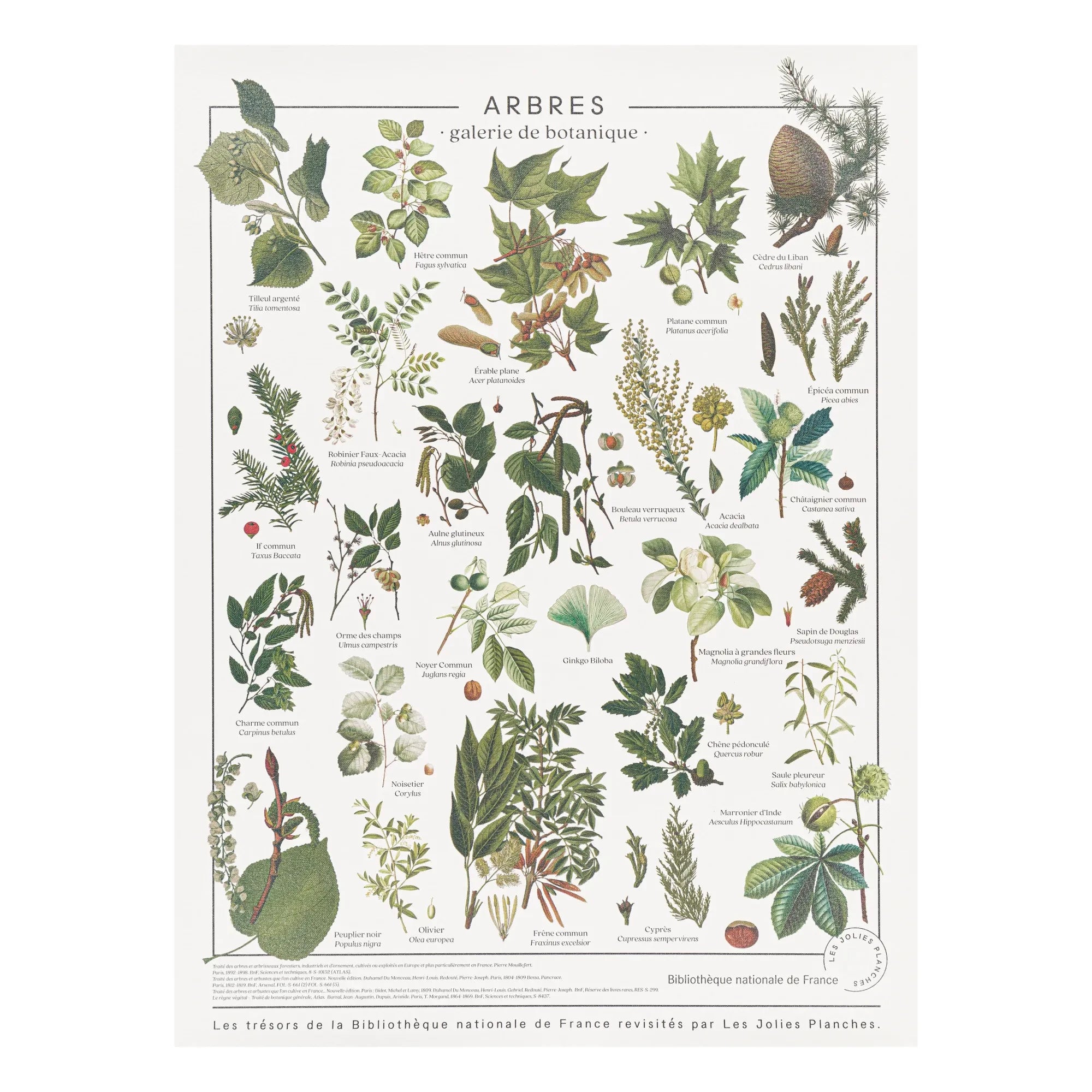 Les Jolies Planches - Panel de madera