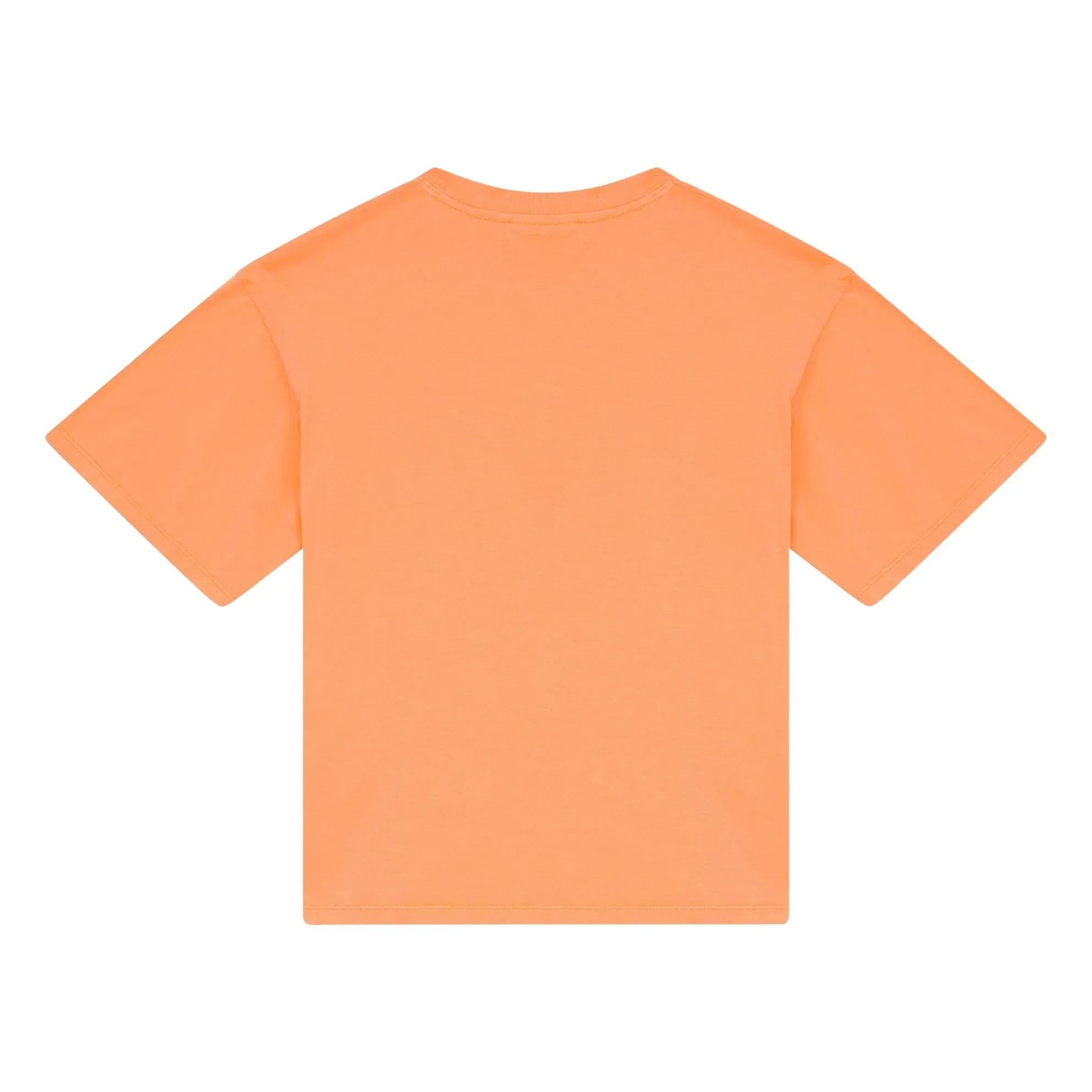 Smallable Kid - Camiseta de algodón orgánico Nils | Naranja