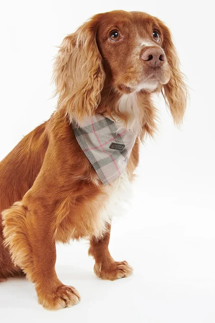 Bandana Barbour Tartan para perro
