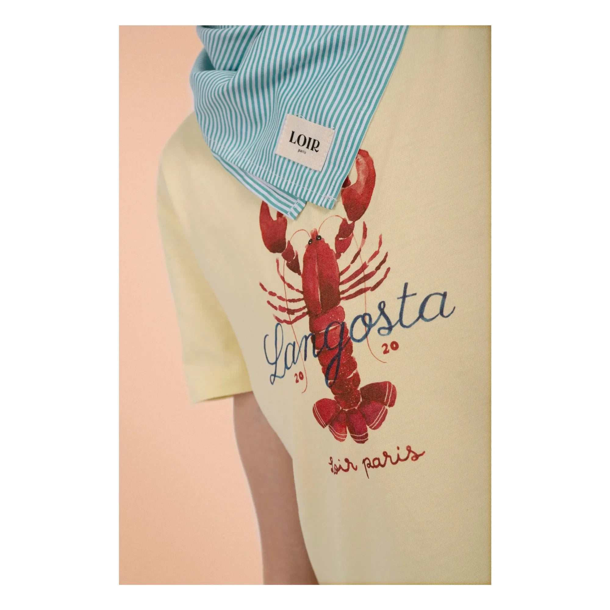Loir - Sudadera de langosta | Amarillo pálido
