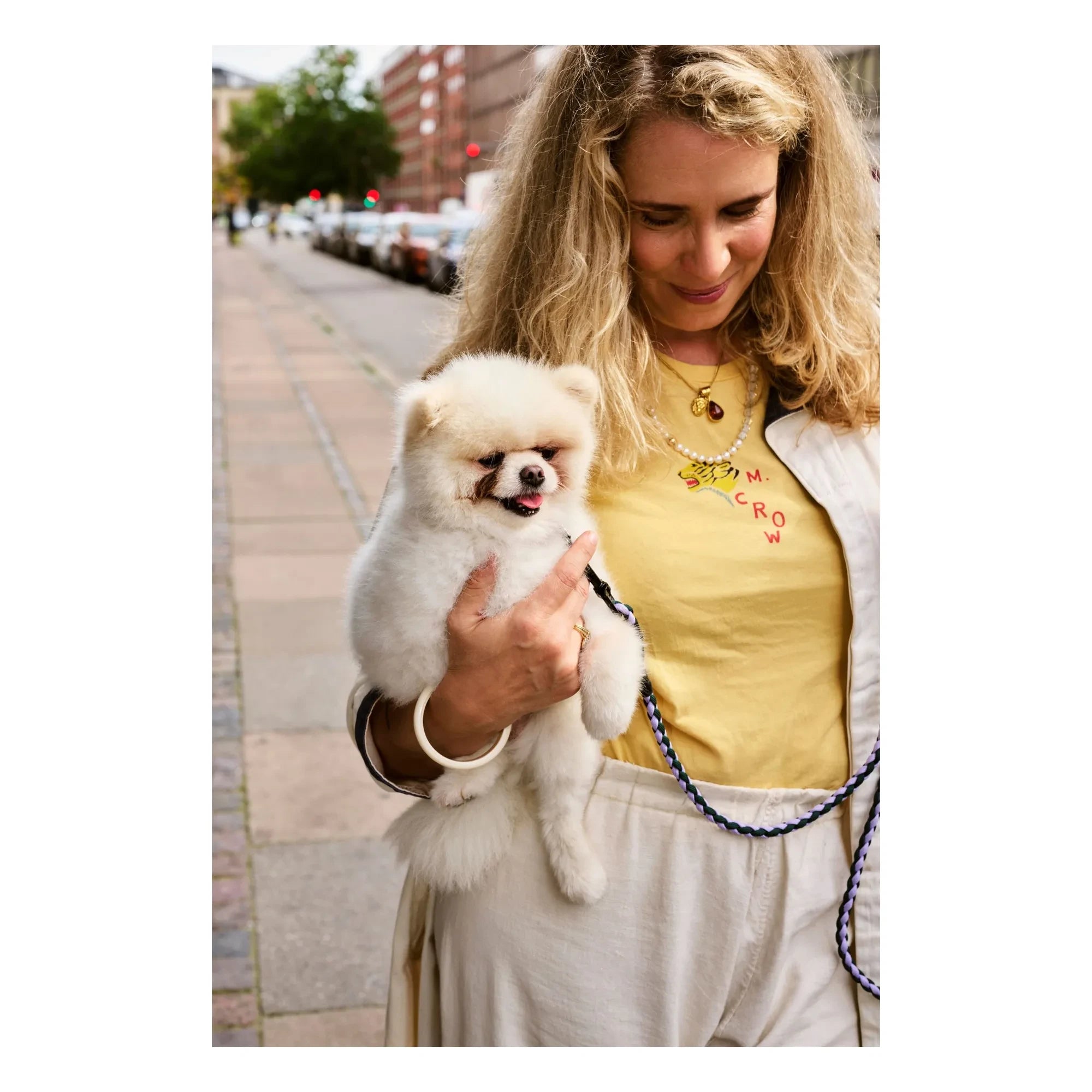 Hay - Collar ajustable | Lavanda