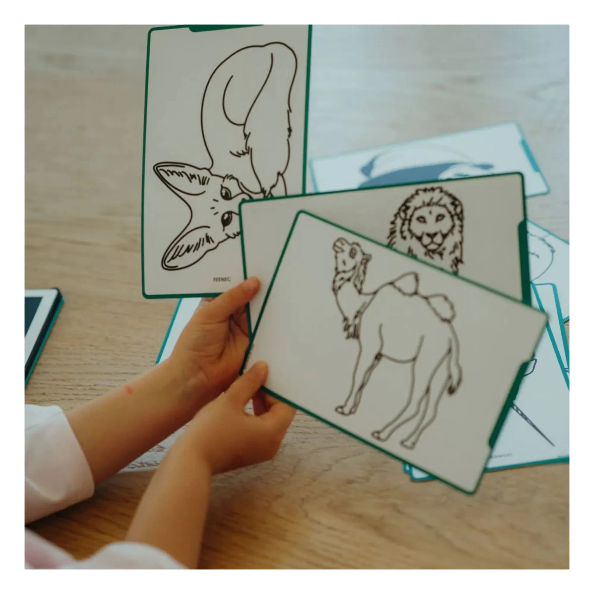 Kidywolf - Kidydraw Mini Pizarra de dibujo | Verde oscuro