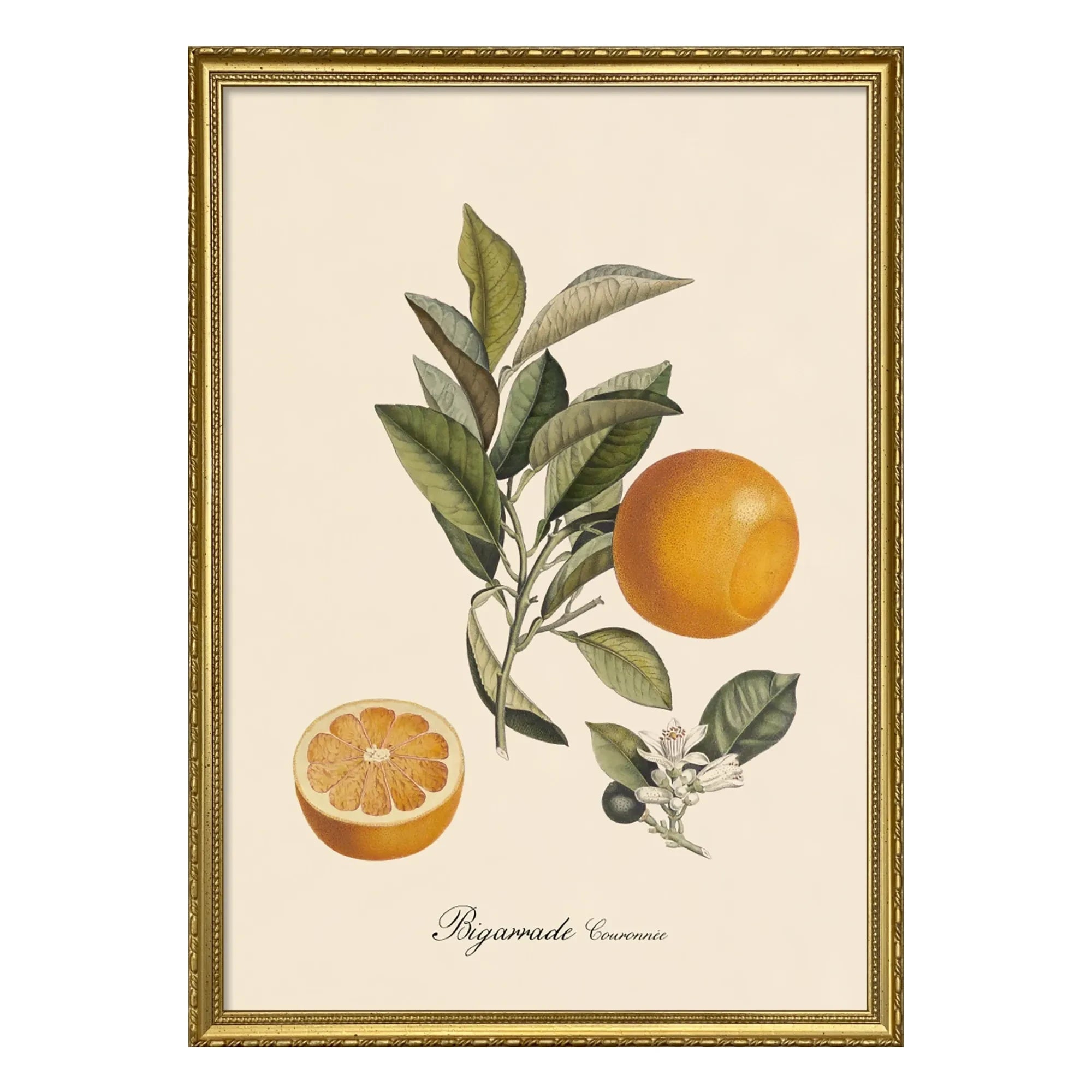 The Dybdahl Co. - Póster de Bigarrade con corona
