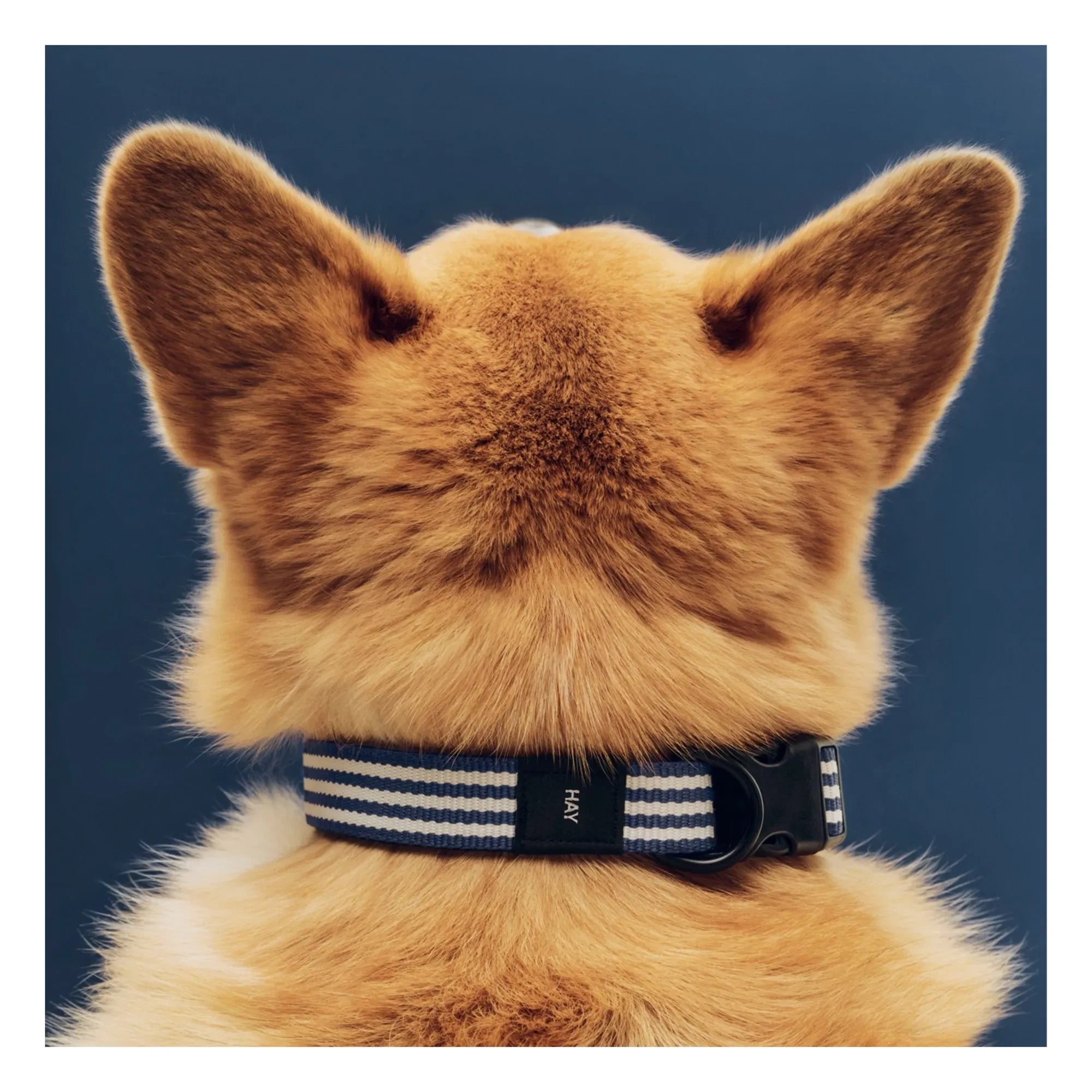 Hola - Collar de perro a rayas | Azul