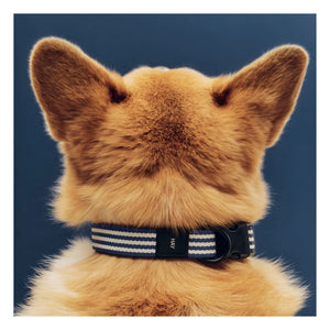 Hola - Collar de perro a rayas | Azul