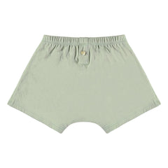 Risu Risu - Boxer Nano Algodón Orgánico | Verde almendra