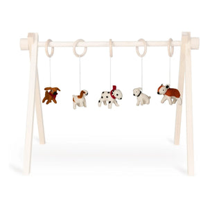 Quax - Juego de juguetes para correa de perro
