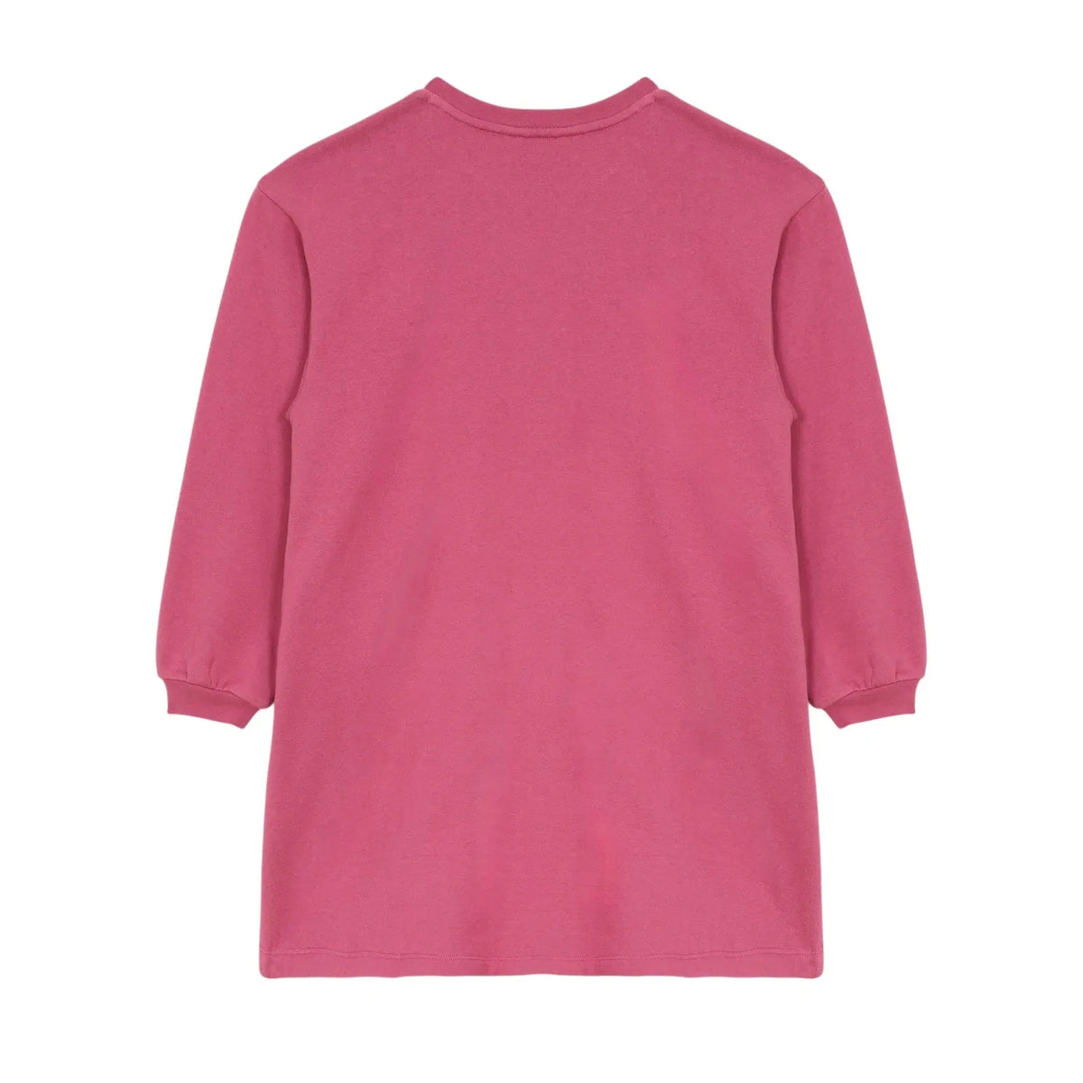 Hundred Pieces - Vestido Briona Birds | Rosa Palo