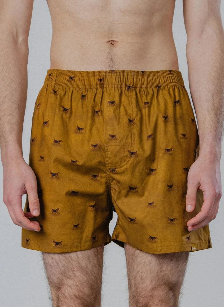 Pockies - Beagle Boxer | Hardal