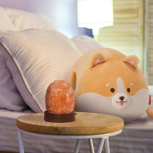 Set de Lámpara de Sal del Himalaya y Cojín Corgi - Legami
