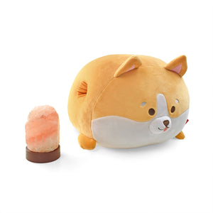 Set de Lámpara de Sal del Himalaya y Cojín Corgi - Legami