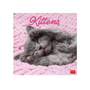 Legami - Calendario de Pared 2027 Kittens - 30 x 29 cm