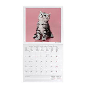 Legami - Calendario de Pared 2027 Kittens - 30 x 29 cm