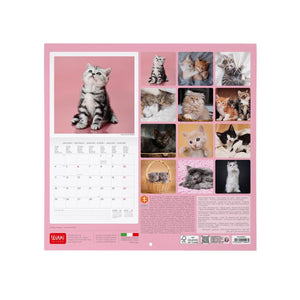 Legami - Calendario de Pared 2027 Kittens - 30 x 29 cm