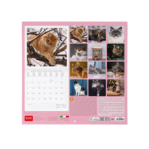 Calendario de pared Legami - Gatos 2027 - 30 x 29 cm