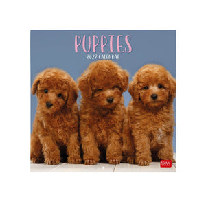 Legami - Calendario de Pared 2027 Puppies - 30 x 29 cm