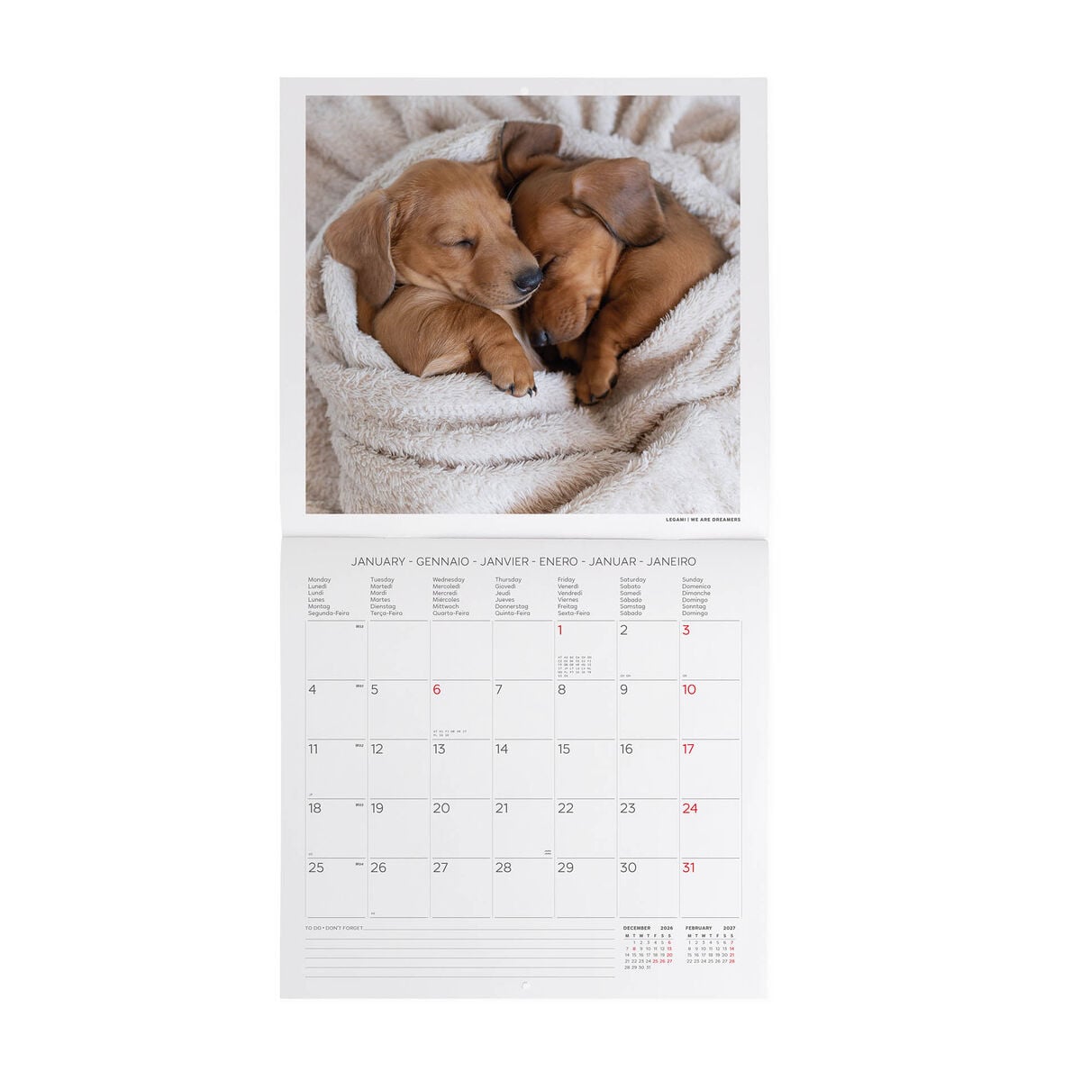 Legami - Calendario de Pared 2027 Puppies - 30 x 29 cm
