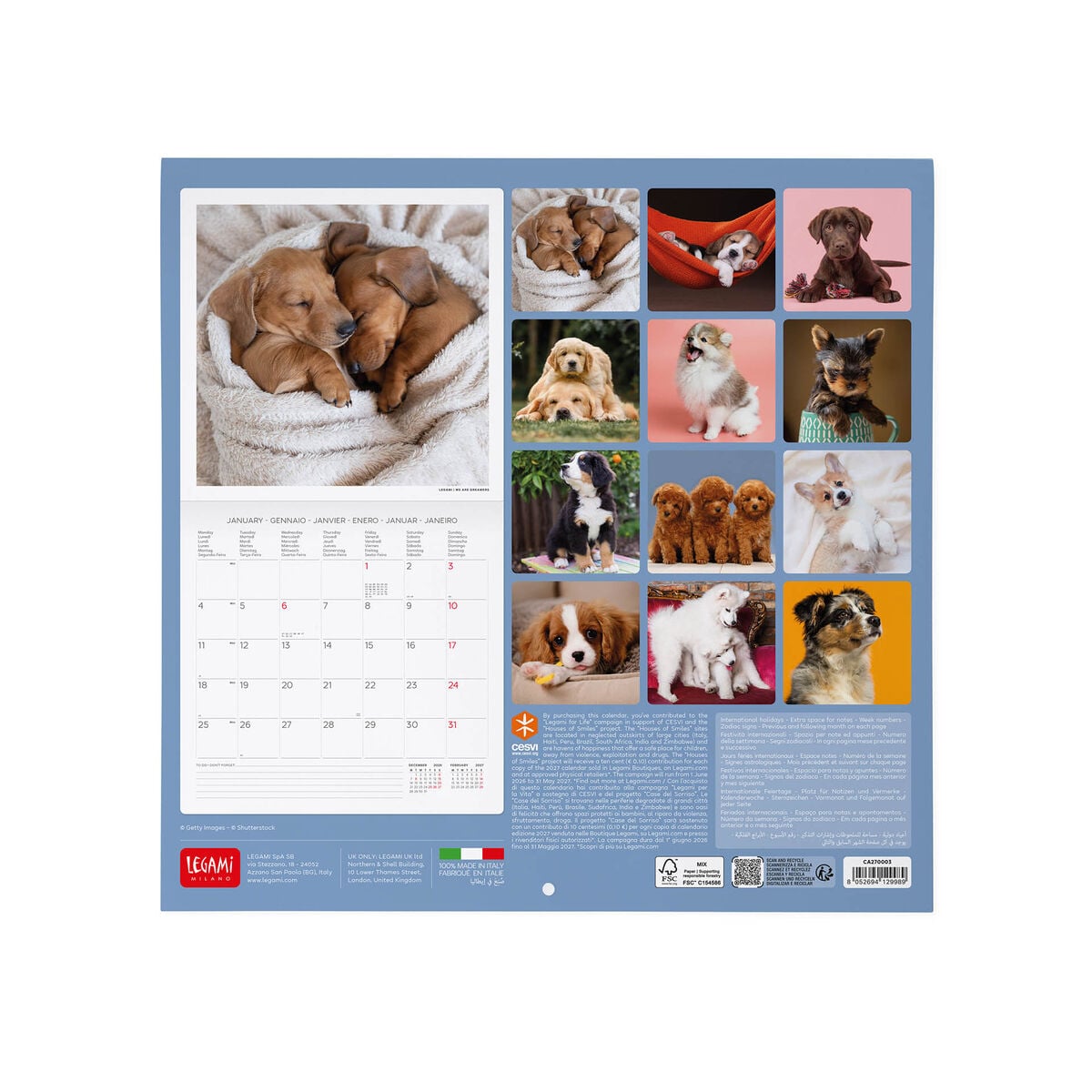 Legami - Calendario de Pared 2027 Puppies - 30 x 29 cm