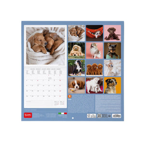 Legami - Calendario de Pared 2027 Puppies - 30 x 29 cm