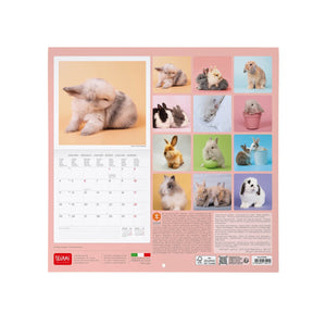 Legami - Conejo Miel Calendario de Pared 2027 - 30 x 29 cm