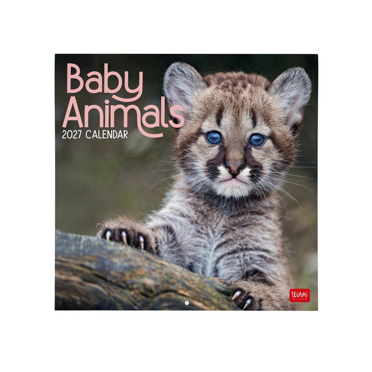 Legami - Calendario de Pared Baby Animals 2027 - 30 x 29 cm