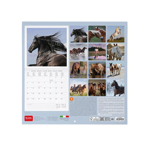 Legami - Calendario de Pared Caballos Salvajes 2027 - 30 x 29 cm